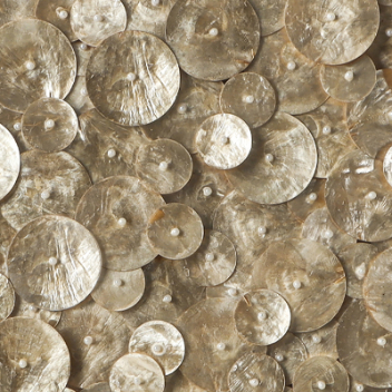 Close-up of decorative wall art with layered shell discs texture