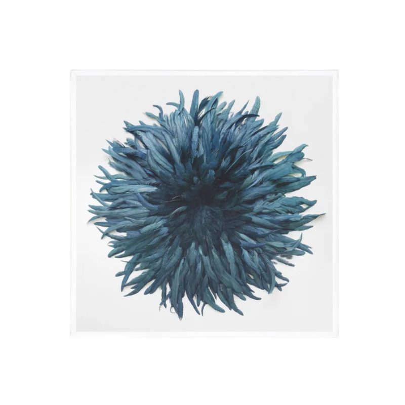 Blue feather wall art on white background.