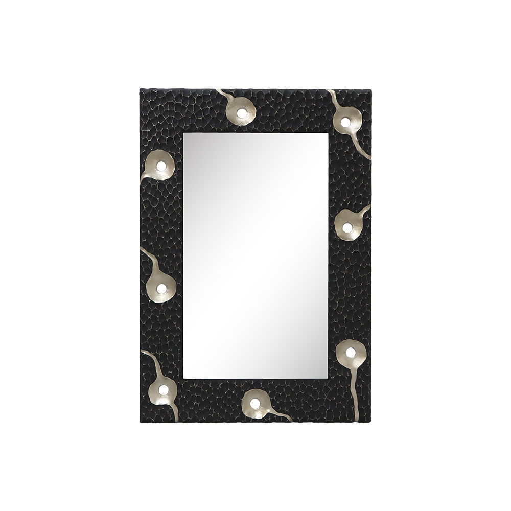 Carved framed mirror with a black textured frame and silver decorative accents.