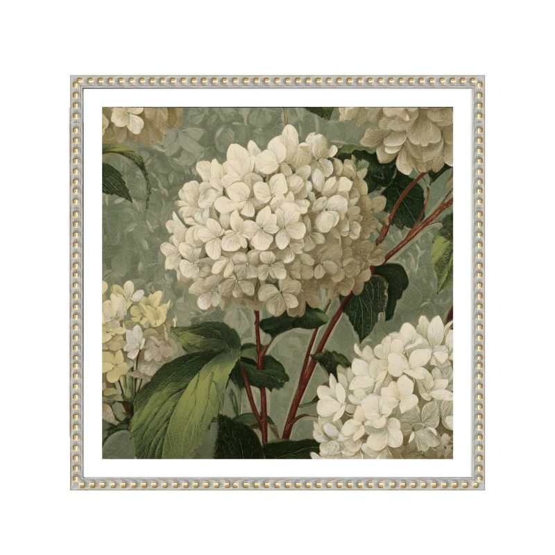 Vintage Hydrangea Framed Print