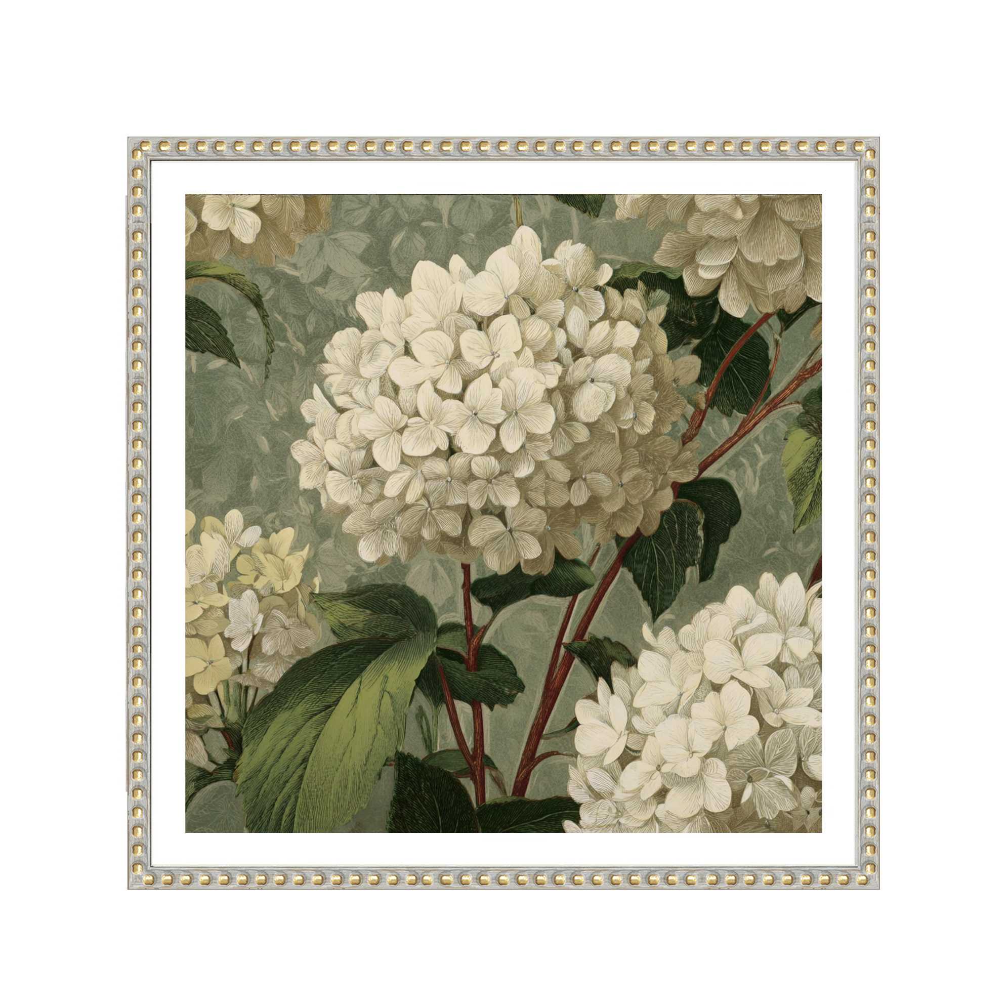 Vintage Hydrangea Framed Print